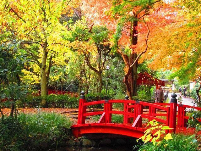 فندق Hakone Pacific المظهر الخارجي الصورة