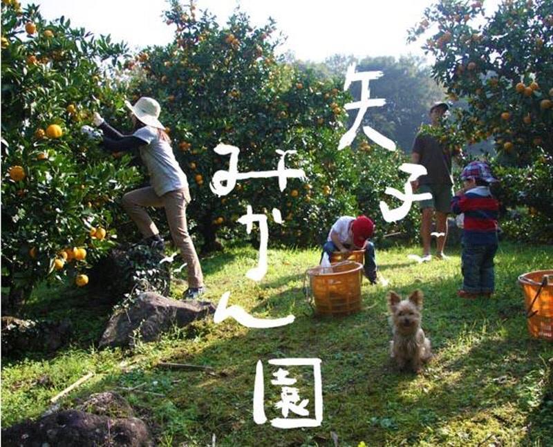 فندق Hakone Pacific المظهر الخارجي الصورة