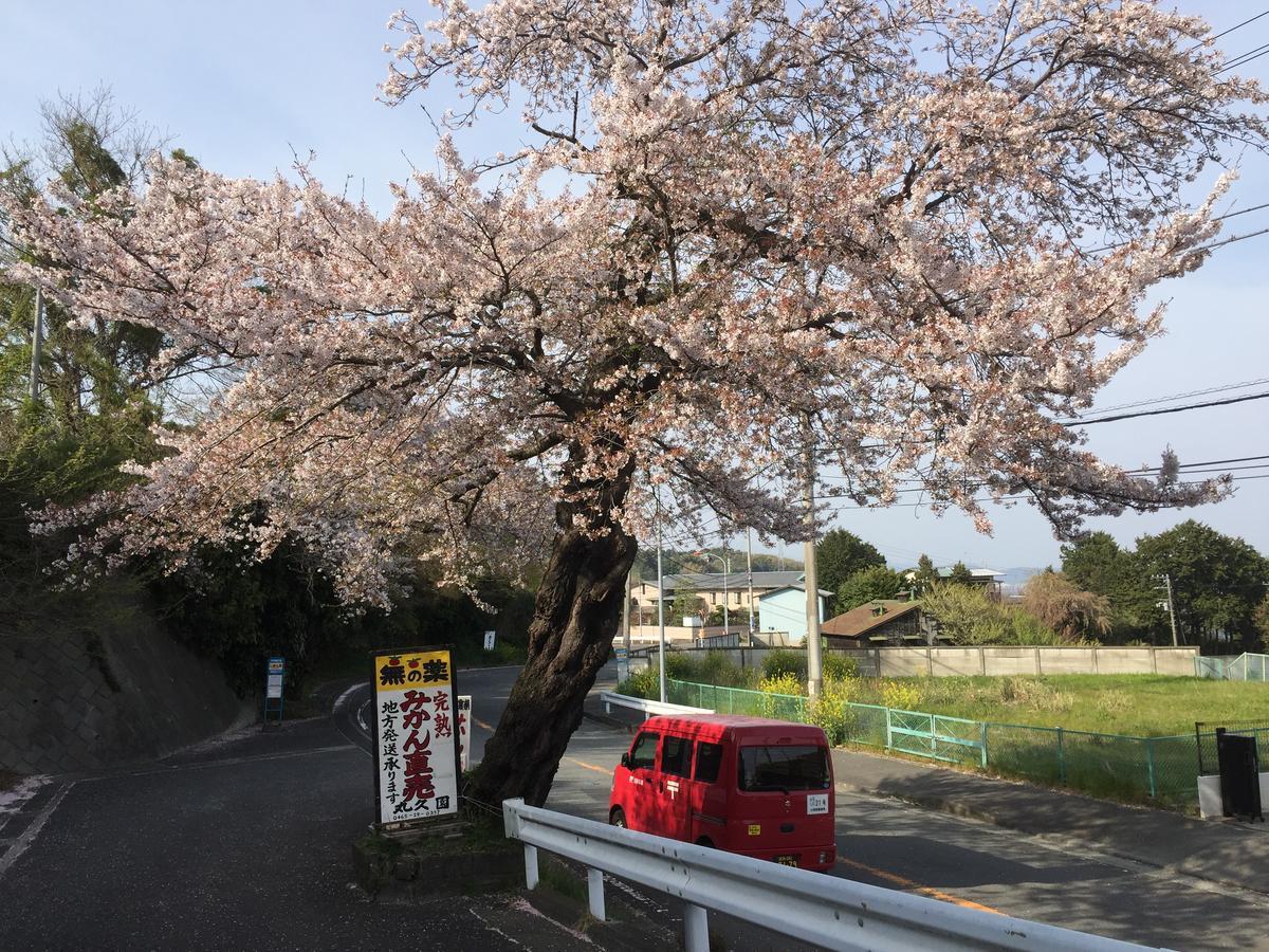 فندق Hakone Pacific المظهر الخارجي الصورة