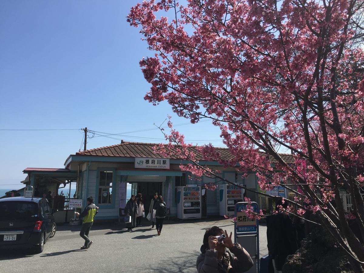 فندق Hakone Pacific المظهر الخارجي الصورة