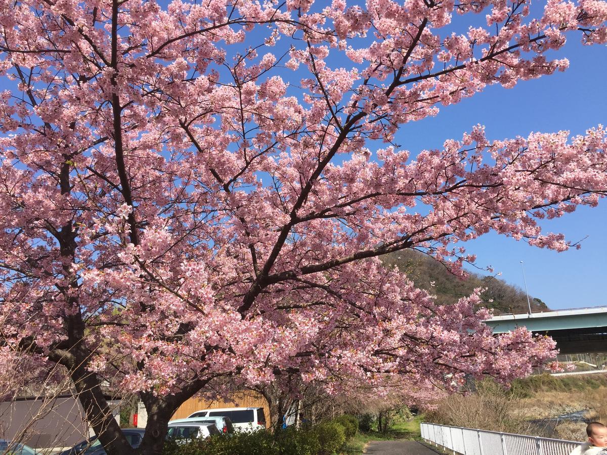 فندق Hakone Pacific المظهر الخارجي الصورة
