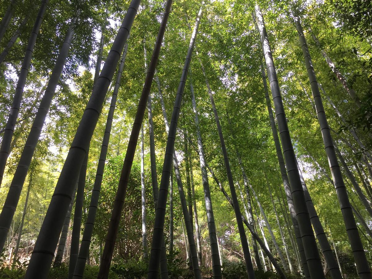 فندق Hakone Pacific المظهر الخارجي الصورة