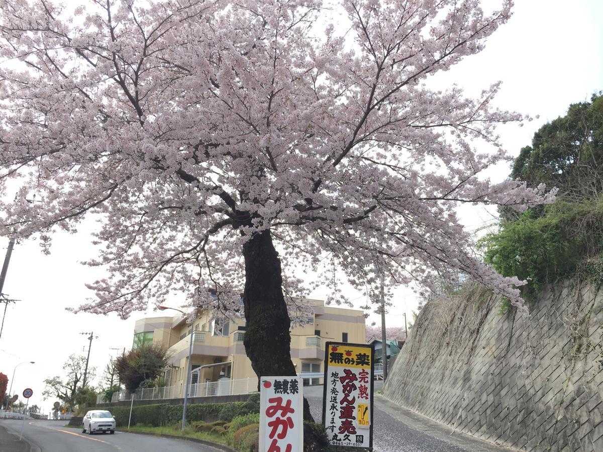 فندق Hakone Pacific المظهر الخارجي الصورة