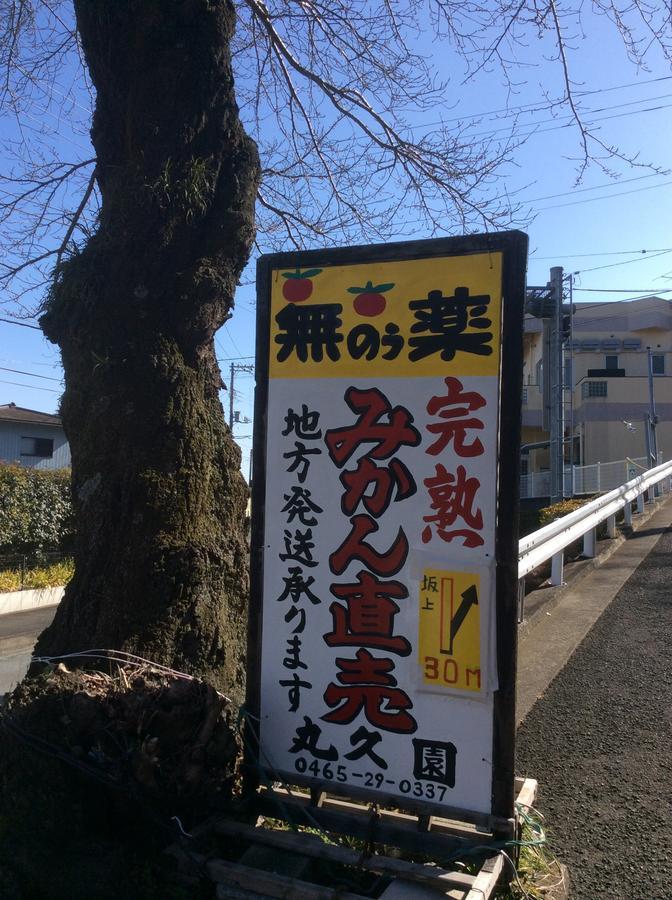 فندق Hakone Pacific المظهر الخارجي الصورة