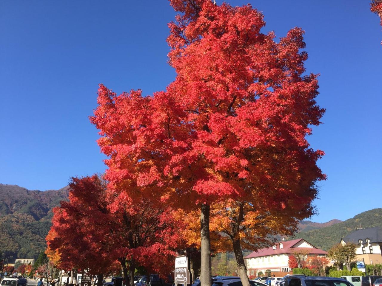 فندق Hakone Pacific المظهر الخارجي الصورة